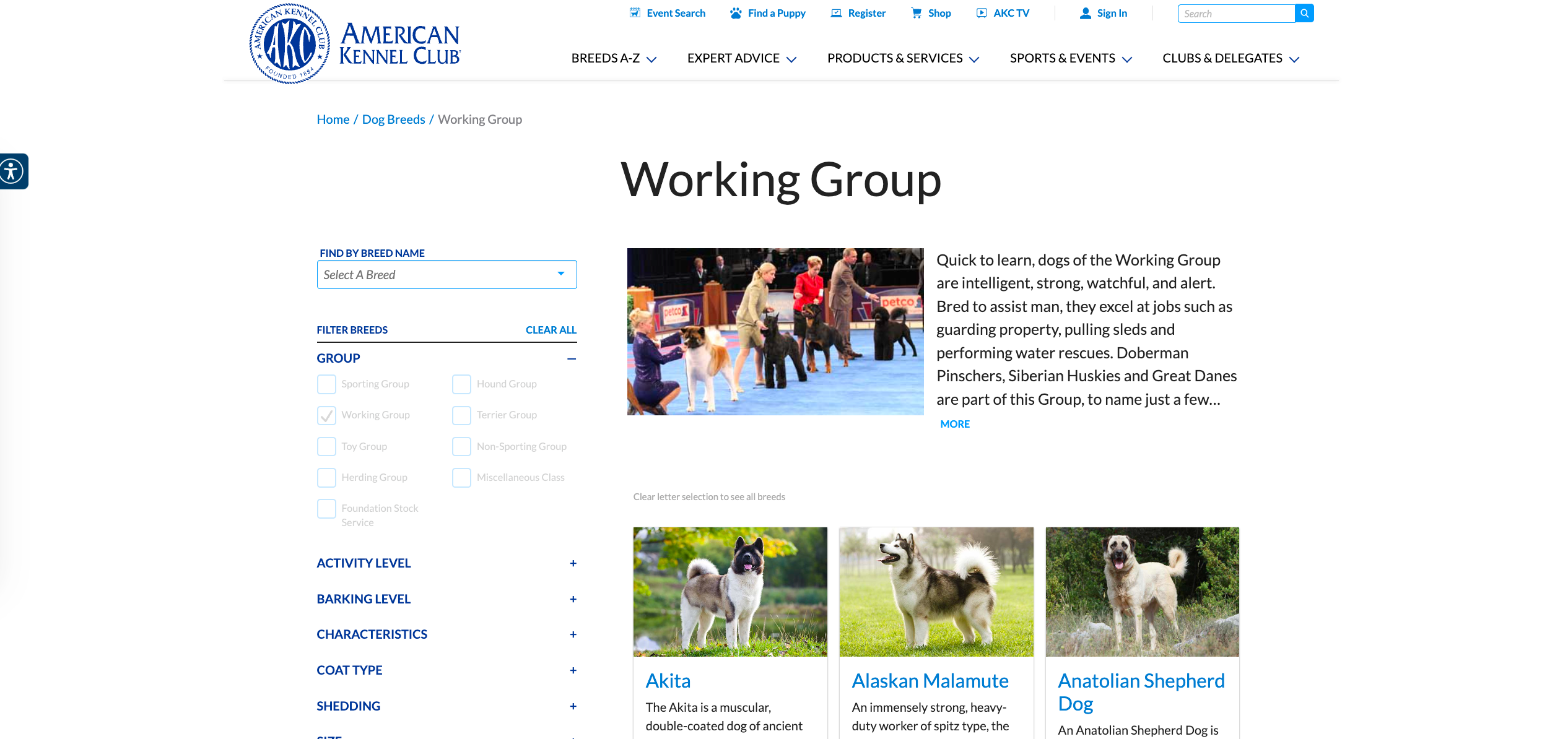 Working Group Directory